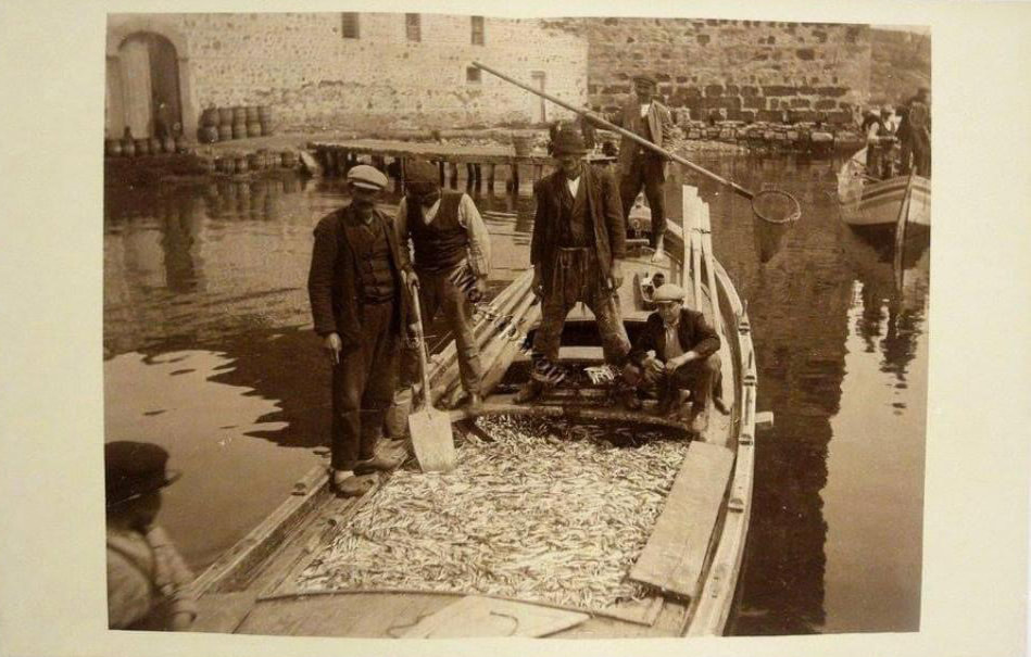 sinop